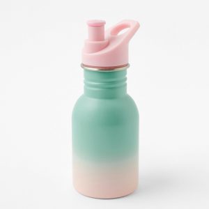 Accessorize Green and Pink Ombre Metal Water Bottle