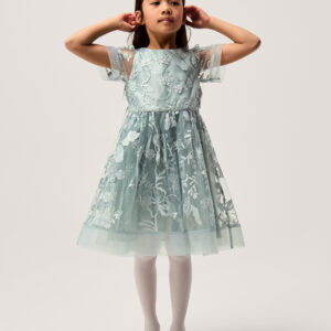 Montecarlo Floral Embroidered Party Dress Green