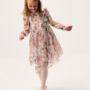Agnes Long Sleeve Floral Chiffon Dress Multi