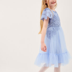 Monica Floral Lace Tulle Dress Blue