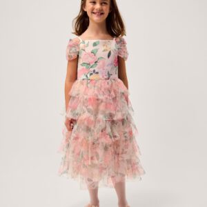 Agnes Floral Print Ruffle Tier Dress Multi